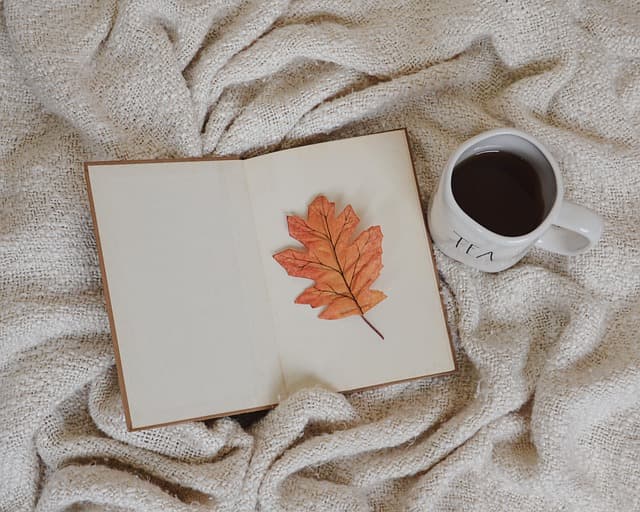 Top Book Deals: Find Great Reads at Discounted Prices